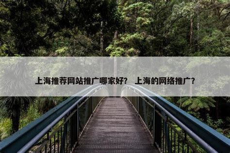 2025年01月測評 上海移動端網(wǎng)絡(luò)推廣與高端軟件外包服務(wù)深度解析